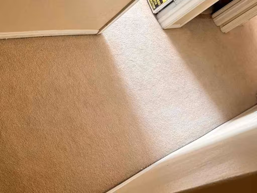 Trinity Carpet Care Clearwater contact about Carpet Cleaning in Largo Upholstery Cleaning in Largo