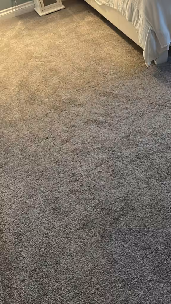 contact about Carpet Cleaning in Largo Upholstery Cleaning in Largo
