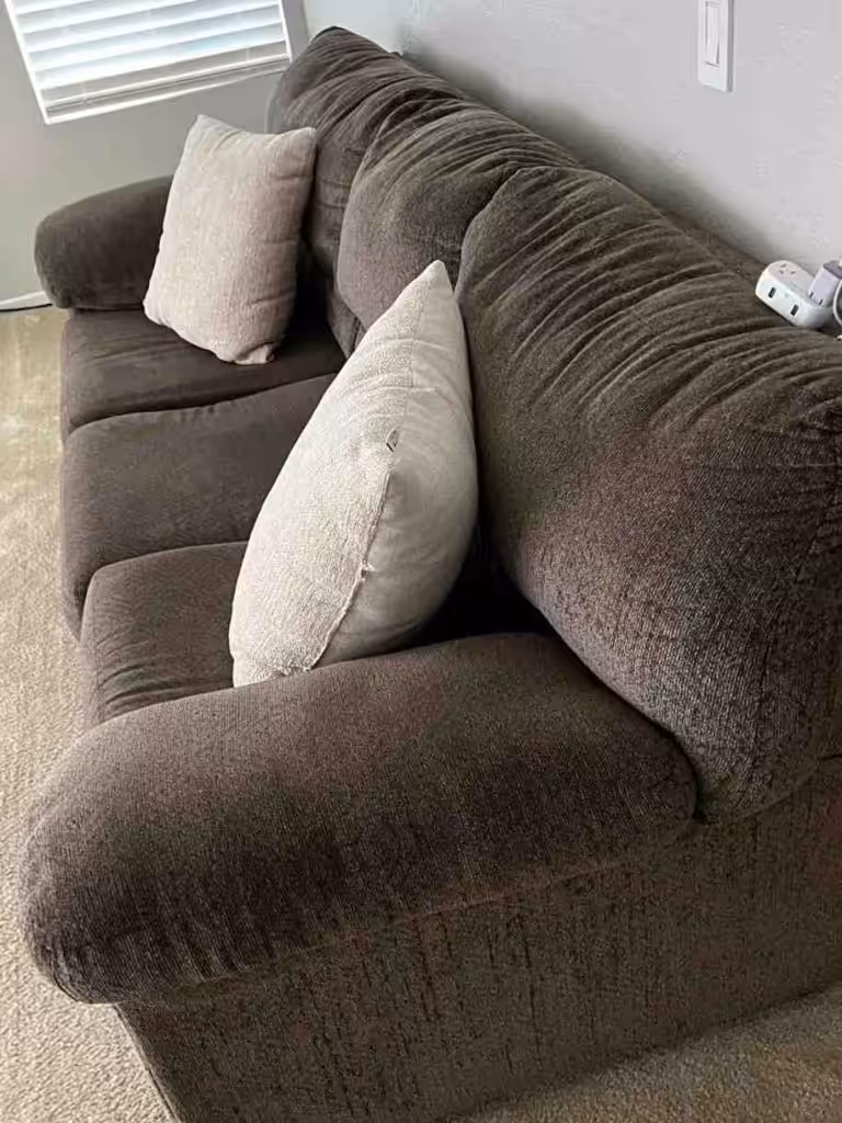 Trinity Carpet Care Clearwater contact about Carpet Cleaning in Largo Upholstery Cleaning in Largo